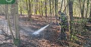 Cztery pożary w dwa tygodnie. Alarm w Nadleśnictwie Łąck