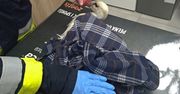 Strażacy pomagają rannemu bocianowi