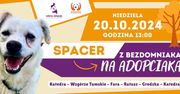 Dzień Kundelka - zapraszamy na spacer z podopiecznymi płockiego schroniska