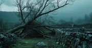 Rekordowe wiatry w Irlandii – burza Éowyn sieje spustoszenie
