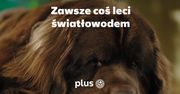 Plus rusza z nową kampanią o światłowodzie