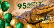 Aligatorzyca Marta zaprasza na urodziny!