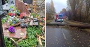 Powalone drzewa, zniszczone nagrobki - wiatr sieje spustoszenie w regionie!