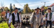Redyki jesienne pod Tatrami – czas owiec, muzyki i świętowania