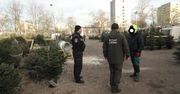 Akcja choinka - Strażnicy Miejscy i Leśnicy kontrolują sprzedawców choinek