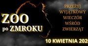 Zobacz zoo inaczej. Nocne zwiedzanie z latarkami już 10 kwietnia