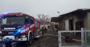 W płomieniach zginęło 100 prosiąt i 14 macior