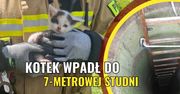 Kot uwięziony w 7-metrowej studni!