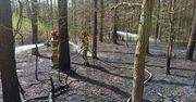Pożary lasów w regionie - rośnie zagrożenie pożarowe lasów
