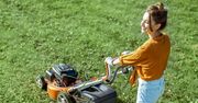 Kosiarka – jak wybrać najlepszą? TOP modele, które warto kupić!