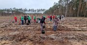Pracownicy ORLENU sadzili drzewa pod Płockiem – ekologiczna akcja z okazji Dnia Ziemi!