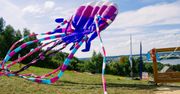 Festiwal Latawców na stoku narciarskim w Chodzieży
