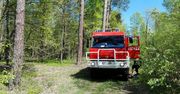 Pożar lasu na terenie leśnictwa Zwierzyniec
