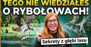 Tego nie wiedziałeś o rybołowach