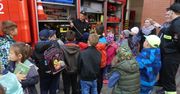 Majowe pokazy i edukacja