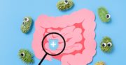 Jak flora bakteryjna jelit wpływa na mózg?