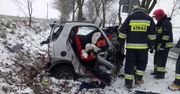 Wypadek w Próchnowie