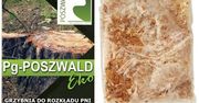 #ogród – naturalna grzybnia do rozkładu pni drzew