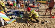 Wąż grasował na plaży
