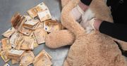 Pluszowy miś z 50 tysiącami euro w brzuchu. Pracownik DHL zrobił szokujące odkrycie