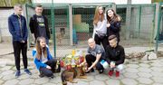 Wizyta klasy 2c w Chodzieskim Punkcie Adopcyjnym dla Psów