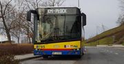 Kursowanie autobusów w poniedziałek 11 listopada (Narodowe Święto Niepodległości)