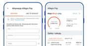 Wszystko, co musisz wiedzieć o Allegro Pay – odroczona płatność z RRSO 0%