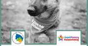 Koncert Charytatywny „Wesprzyj psiaka – wpłać piątaka”