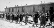 Dzieci wyrwane matkom w Plaszowie. Najbardziej wstrząsający dzień w historii obozu