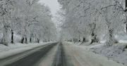 Ostrzeżenia meteorologiczne przed silnym mrozem!