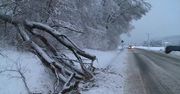 Tysiące odbiorców bez prądu, na drogach powalone drzewa. Skutki intensywnych opadów śniegu w Podkarpackiem