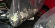 Sąd skazał rodzinę za kradzież pieniędzy z puszek WOŚP