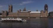 Martwe ryby w Tamizie przed brytyjskim parlamentem