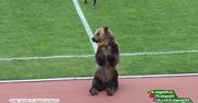 To jest Rosja, tutaj to normalne. Niedźwiedź rozpoczął mecz piłkarski i… zachęcał kibiców do dopingu
