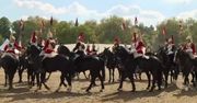 Królowa Elżbieta Druga podziwia konie w Windsorze