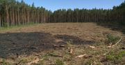 “Las to nie śmietnik” – strażacy i leśnicy ostrzegają przed pożarami