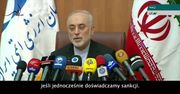 Szef agencji energii atomowej Iranu: Nie będziemy respektować wykastrowanego porozumienia JCPOA