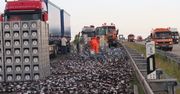 Serce może zakłuć na taki widok. 350 krat piwa rozbitych na niemieckiej autostradzie