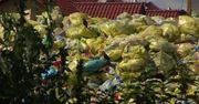 Mieszkańcy Brzeska uskarżają się na składowisko odpadów