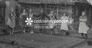 Historia poznańskiej pyry