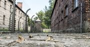 Chowali cegły z ruin krematorium w Auschwitz do torebki. Turyści z Węgier usłyszeli zarzuty