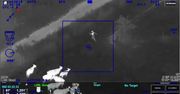 Krowy zapędziły złodziejkę samochodów w ręce policjantów. Pościg w USA zarejestrowała kamera śmigłowca