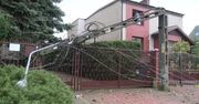 “Świerk przewrócił się na linie energetyczne i powalił cztery słupy”. Nawałnica w Koninie