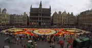500 tys. kwiatów na Wielkim Placu w Brukseli. Dekoracje na cześć meksykańskiego regionu