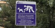 Częstochowa walczy z “niespodziankami” zostawionymi po psach