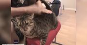 Ta kotka uwielbia bardzo energiczne masaże