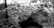Wypadek drogowy w Krośniewicach. Na miejscu zginęło 7-letnie dziecko