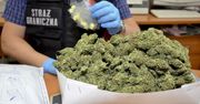 Straż graniczna w Kłodzku uniemożliwiła wprowadzenie na rynek niemal 400 porcji narkotyków