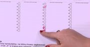 Wybory samorządowe – jak poprawnie oddać głos?