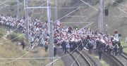 Ekolodzy zablokowali tory i maszyny górnicze. Protest przeciw wycince lasu Hambach w Niemczech